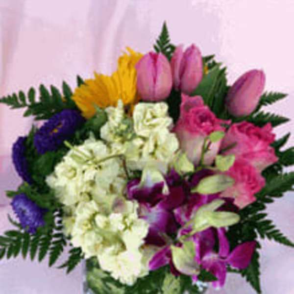 CHERRY DISPLAY OF CLUSTERS