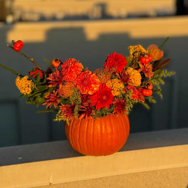 Orange pumpkin filled with red and yellow flowers