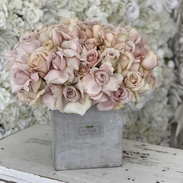 Quicksand sweetheart