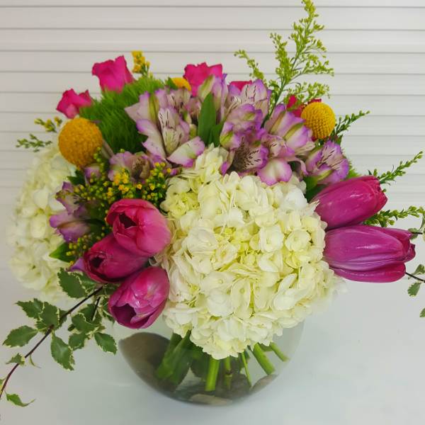 Graceful Beauty - Beverly Hills