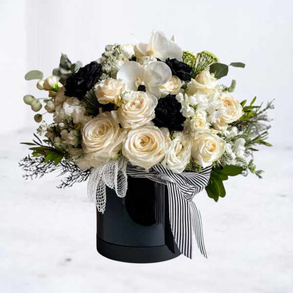 Round arrangement of ivory roses and white orchids with black blooms in a black hatbox with striped ribbon.