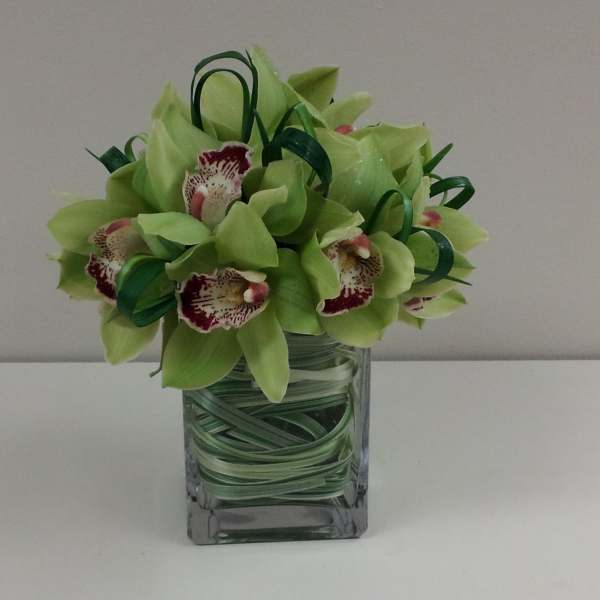 Green orchid bouquet in a square glass vase