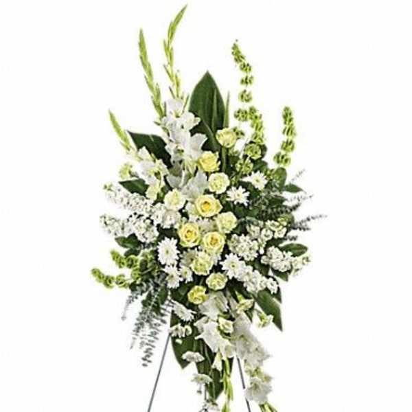 Magnificent life spray