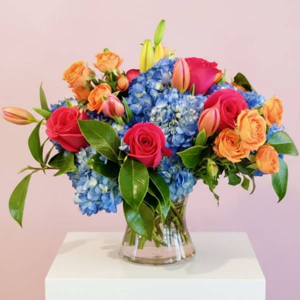 Bright Designers Choice