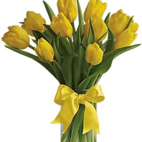 Bouquet of yellow tulips in a clear glass vase with a yellow ribbon bow