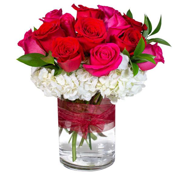 Bouquet of red and pink roses in a glass vase with white hydrangeas