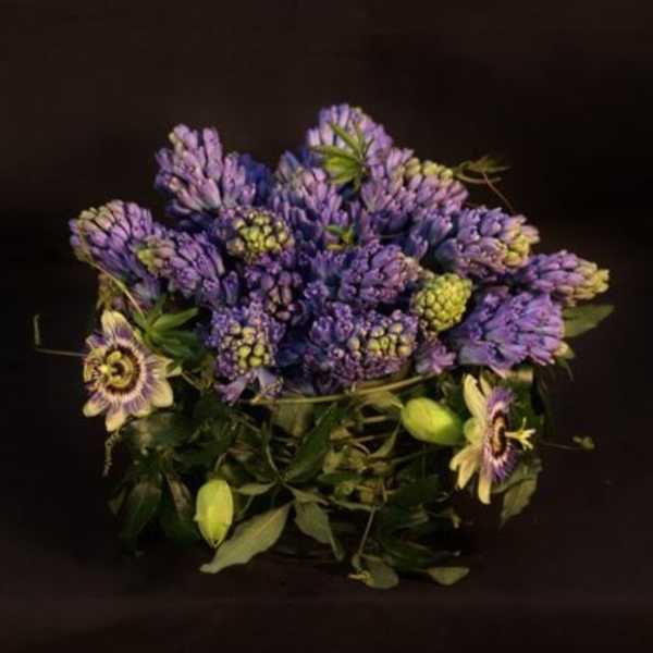 Hyacinth Arrangement