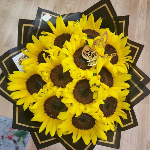 SUNFLOWERS LOVE
