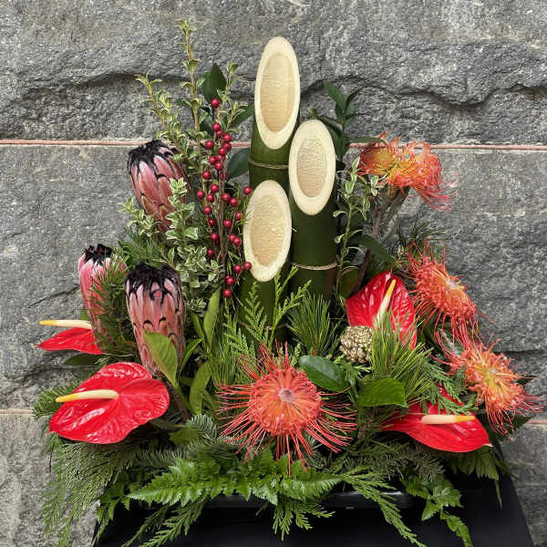 Kadomatsu Tropical Sunrise AR2401