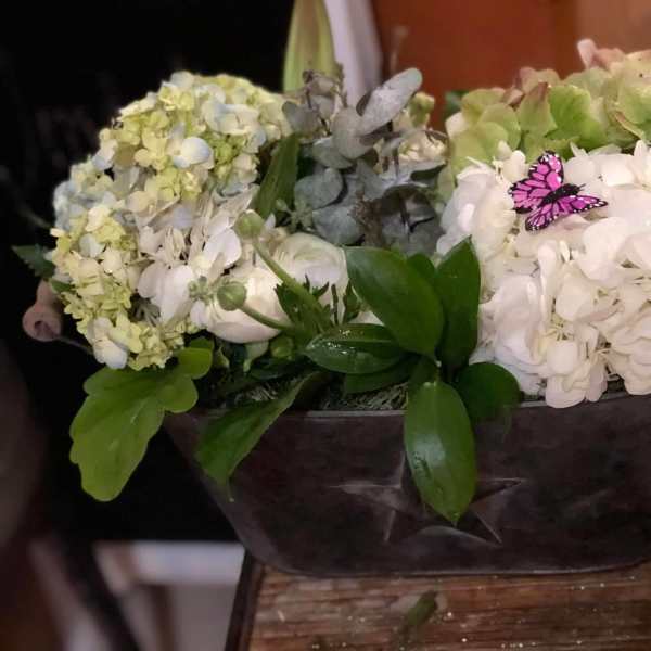 White and pale green hydrangeas arranged in a dark bowl