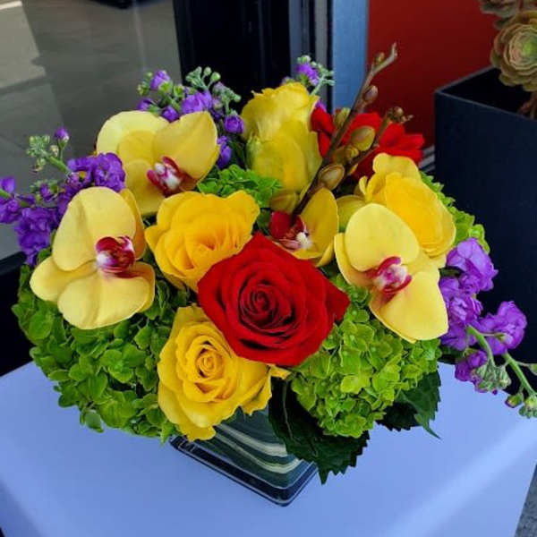 Low arrangement of yellow orchids, yellow and red roses, and green hydrangeas in a glass cube vase
