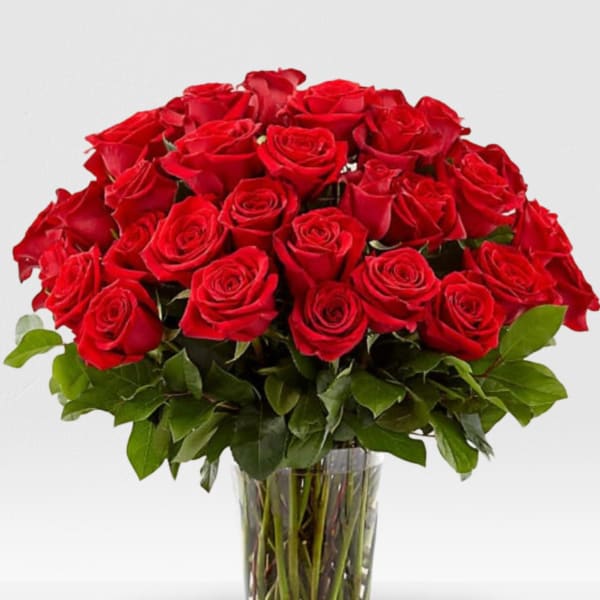 36 Red Rose's in a vase (NO BABY BREATH)