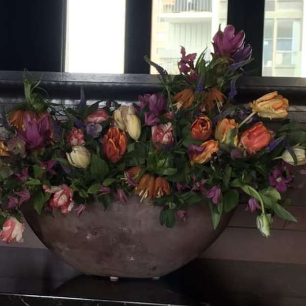 Suzanne Cummings Original 18