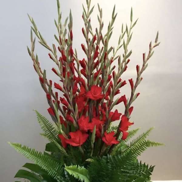 Tall red floral arrangement with tropical greenery in a black container