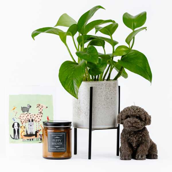 Best Friends Fur-ever Gift Set