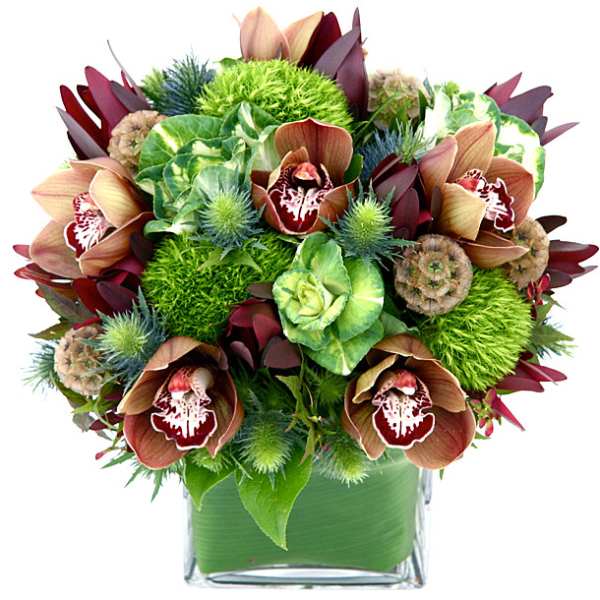 Mixed green and burgundy orchid arrangement in a square glass vase