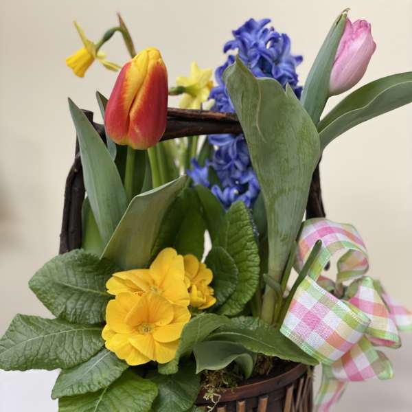 Basket of Spring.