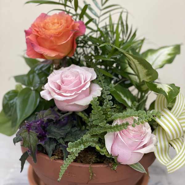 Plant medley with blooms.