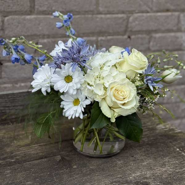 Mix of White and Blue