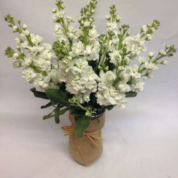 White flower arrangement in a burlap-wrapped vase