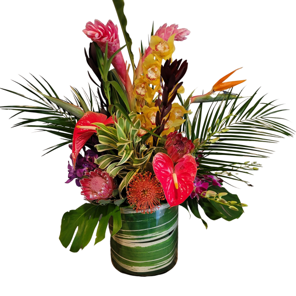 Large Tropical arrangement