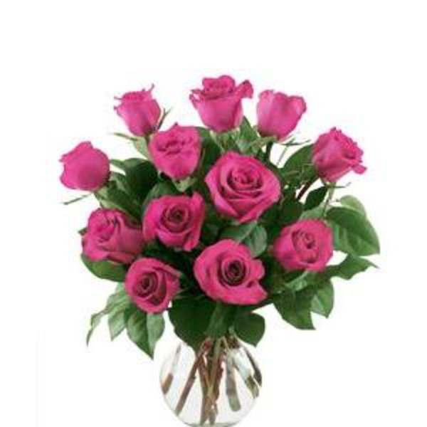 Classic Dozen Rose (Pink)