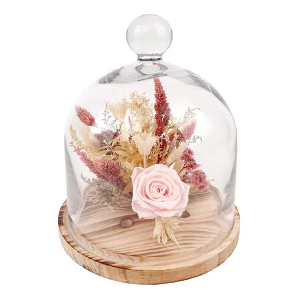 Pink rose under a glass dome on a wooden base