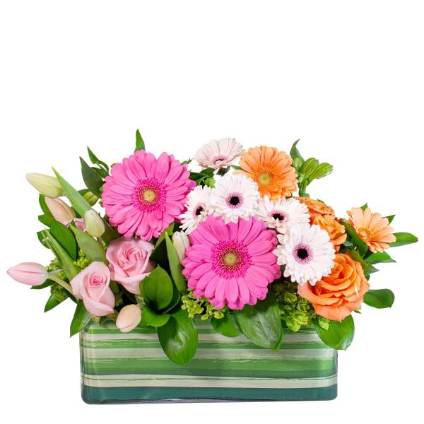 Pink and orange gerbera daisies with roses in a striped glass vase