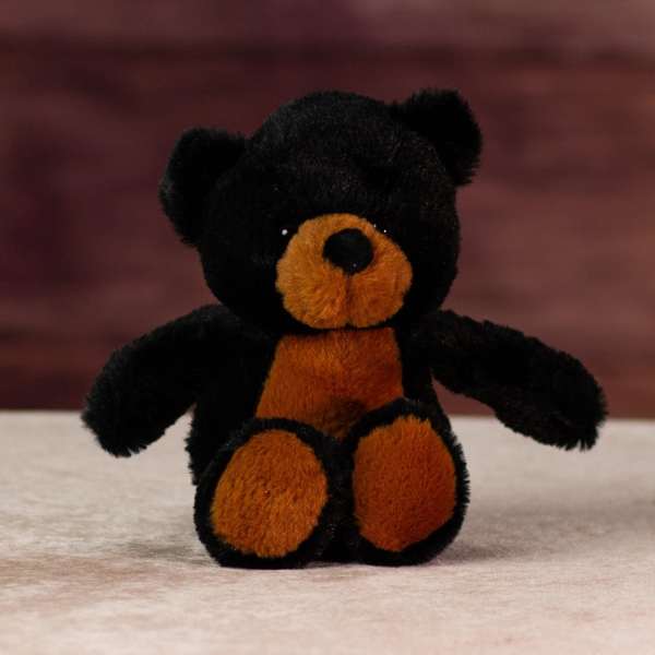 Small black and brown teddy bear sitting on a light surface
