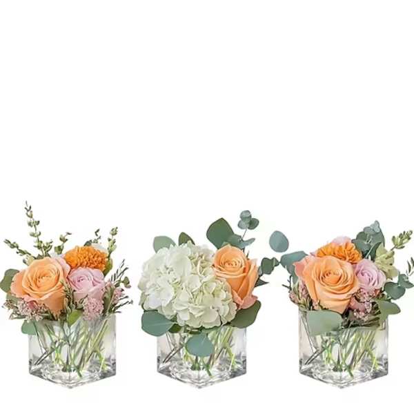 Three small floral arrangements in clear square vases with roses and hydrangeas