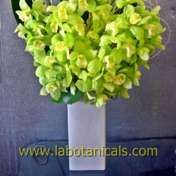 Green orchid arrangement in a tall white vase