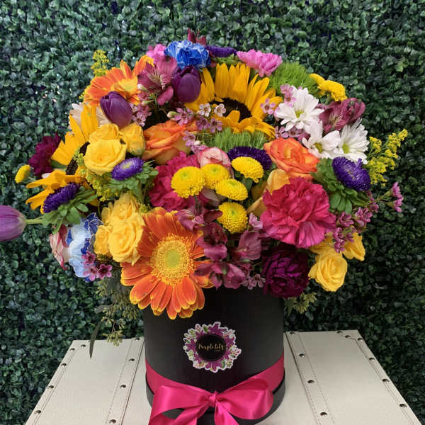 Dazzling Sunshine PLA52