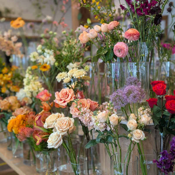 Designer's Choice - Low & Lush