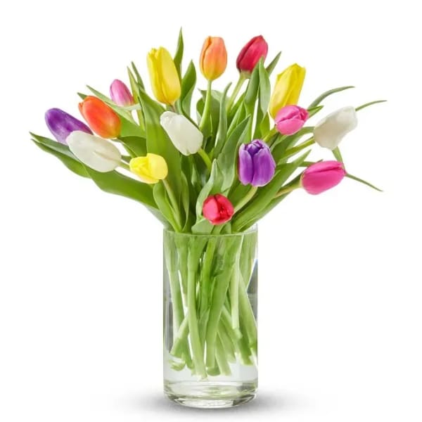 Mix color tulips