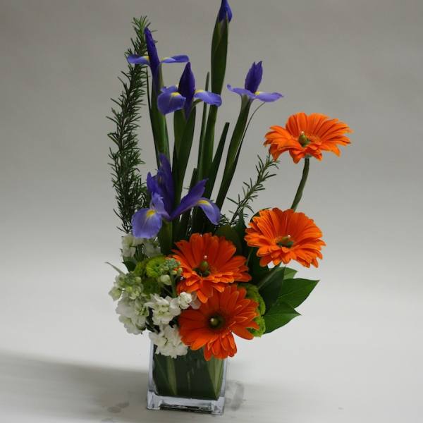 Orange gerbera daisies and purple irises in a clear square vase