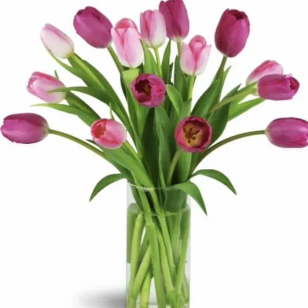 Pink tulips arranged in a clear glass vase