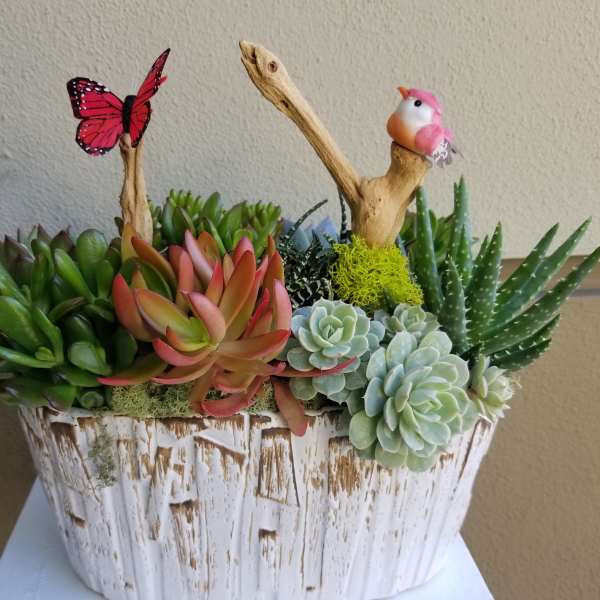 Succulent arrangement in a white rustic planter with butterfly and bird accents