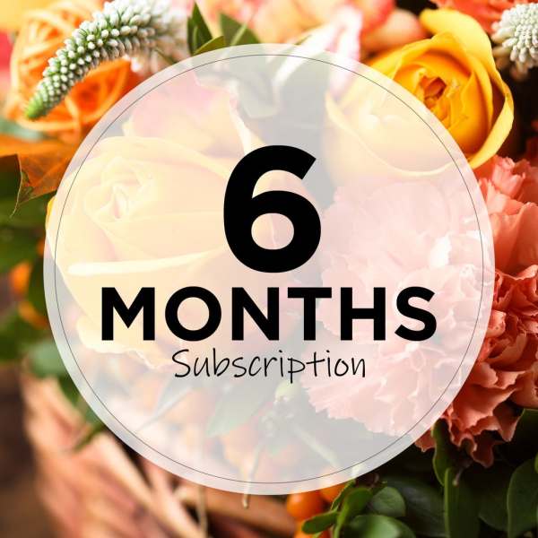 Weekly Subscription for 6 months