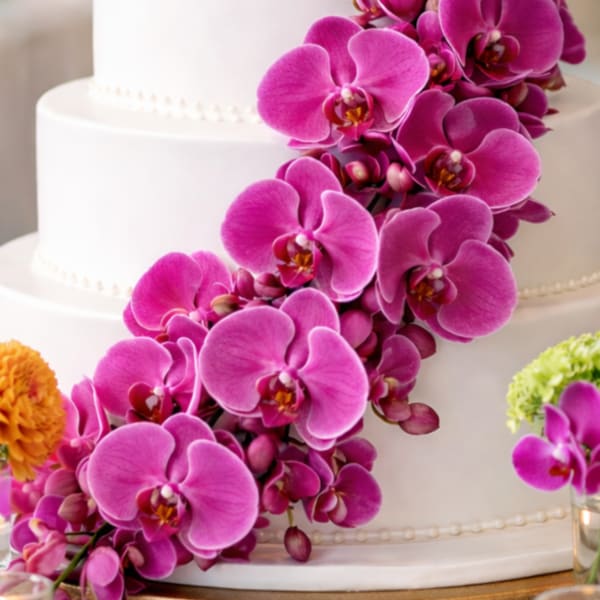 Orchid Cake Cascade