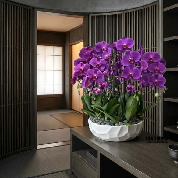 Large purple phalaenopsis orchid arrangement in a white bowl with stones on a dark wood table