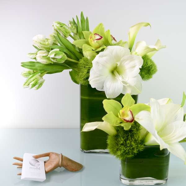 Elegant White and Green Duo