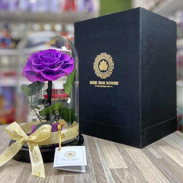 Single purple rose under a glass dome with a black gift box beside it