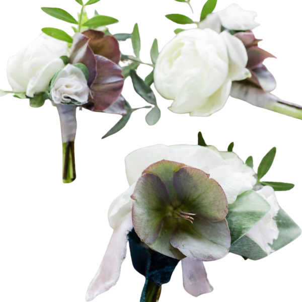 Ivory Garden Boutonnière