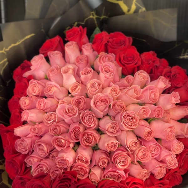 100 roses in a heart shape