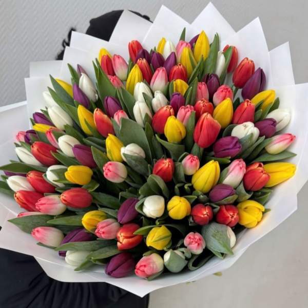 № 113 - THE PHOTO SHOWS THE PREMIUM SIZE