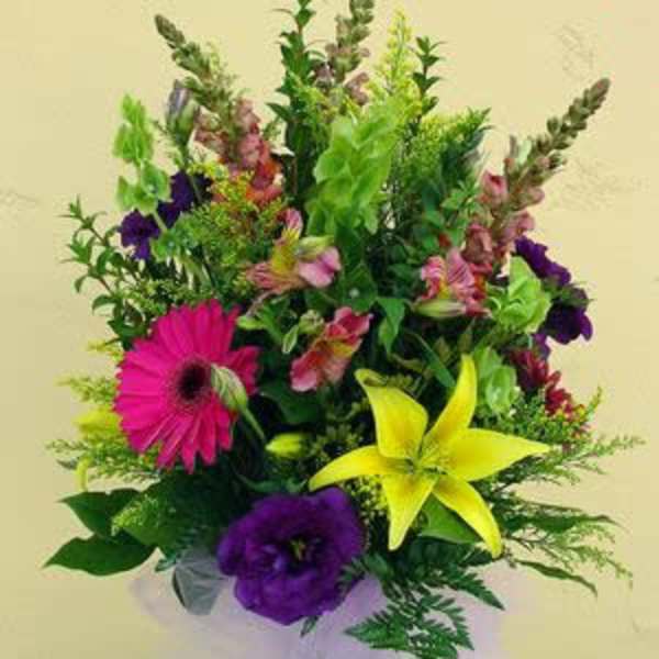 Non-Fragrant Lillies