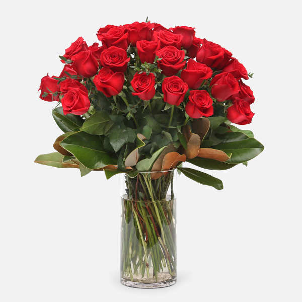 4-Dozen Elegant Roses