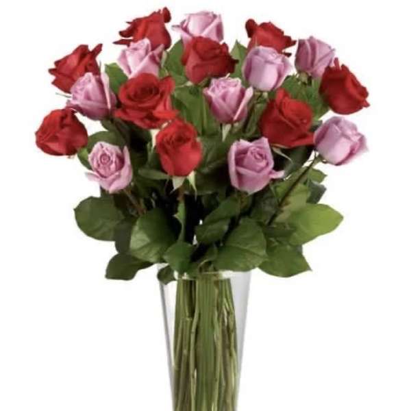 Tall glass vase of red and lavender roses