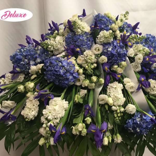 Beautiful in Blue Cover