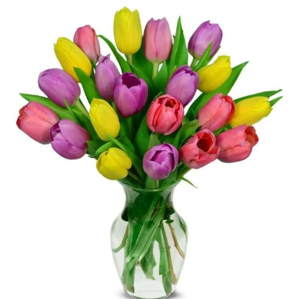 Bouquet of multicolored tulips in a clear glass vase